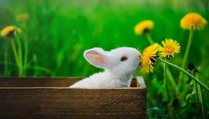 mk体育入口｜开启你的专属观赛之门